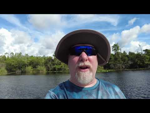 Using The New  DJI POCKET 2    Showcasing Lake Griffin State Park Waterway