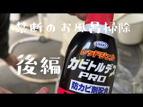 【汚部屋掃除】禁断のお風呂掃除・後編〜ドアのカビ取り！カビトルデスPRO  @room9206