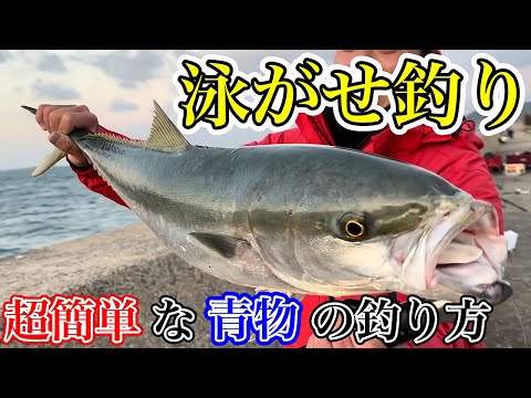 【泳がせ釣り】離島の堤防で釣った魚をエサにしたら大物が喰いついた！！