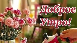 Красивейшая Песня с Добрым Утром и Хорошим Днем! Обязательно послушайте ! С Добрым Утром !💖💖💖