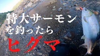 サケ釣りど素人がビッグサーモンを釣り上げた瞬間に巨大ヒグマが襲来…！【北海道１周釣り生活】#6