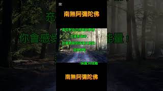 #南無阿彌陀佛 #活在當下