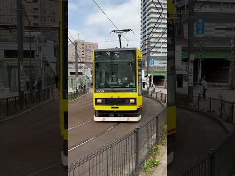 都電落語会ラッピングカー・東京さくらトラム　“Toden Rakugo show” wrapping car, Tokyo Sakura Tram #shorts