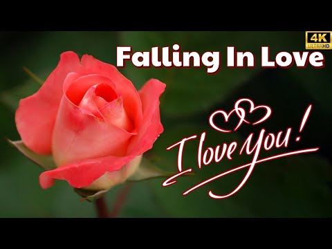 Love Songs 2024 - Best Romantic Love Songs About Falling In Love 80's 90's Westlife.Backstreet Boys