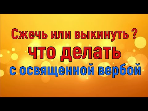 Сжечь или выкинуть?  Что делать с освященной вербой?