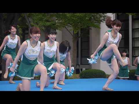 オープンキャンパス2014② Yeah 3x & TiK ToK 関東学院大学チアダンス部 Fits