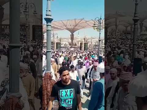 Modina viral naat #islamic status #trending ..