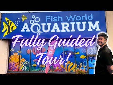 LFS Tour - Fish World Aquarium