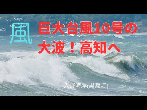 巨大台風10号の大波！高知へ