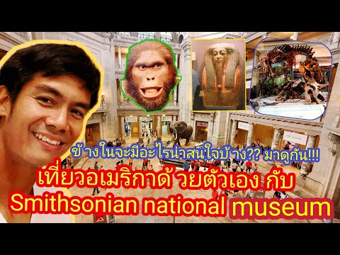 เที่ยวอเมริกาด้วยตัวเอง กับพิพิธภัณฑ์ smithsonian natural historic museum