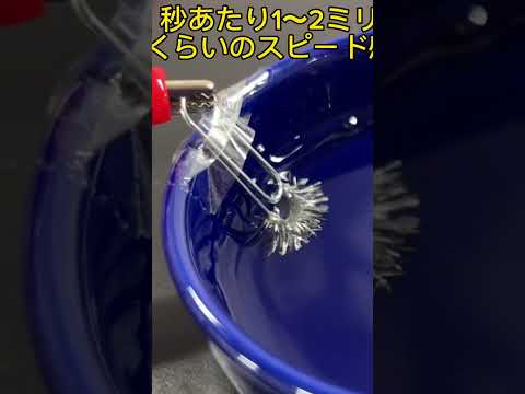 ぐんぐん伸びるスズ樹　1〜2mm/秒