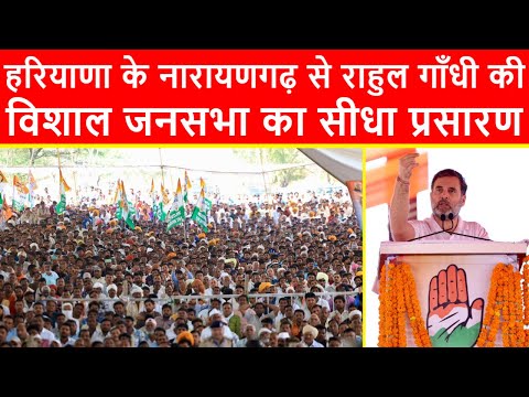 🔴हरियाणा के नारायणगढ़ से राहुल गाँधी की विशाल जनसभा का सीधा प्रसारण LIVE | Haryana Elections 2024