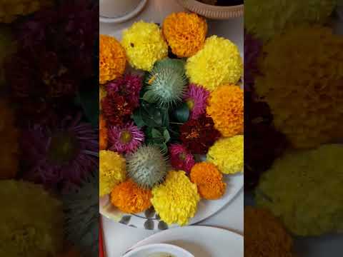 happy hartalika teej | teej celebration at home #happyteej #happyhariyaliteej