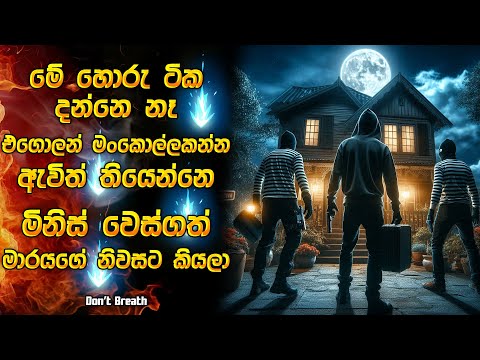 මේ හොරු දන්නෑ එගොලන් මංකොල්ලකන්න ආවේ මිනිස් වෙස්ගත් මාරයගේ ගෙදරට කියලා 😱| Horror recap Sinhala