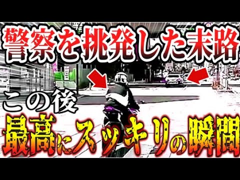 【ドラレコ】イキリ男のダサい行動！このあと爆笑の瞬間【交通安全・危険予知トレーニング】【スカッと】