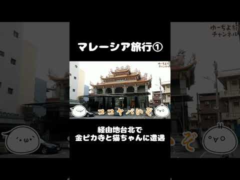 乗継の台北観光で激映え金ピカ寺と猫ちゃんに遭遇♪マレーシア旅① #shorts  #海外旅行 #台北