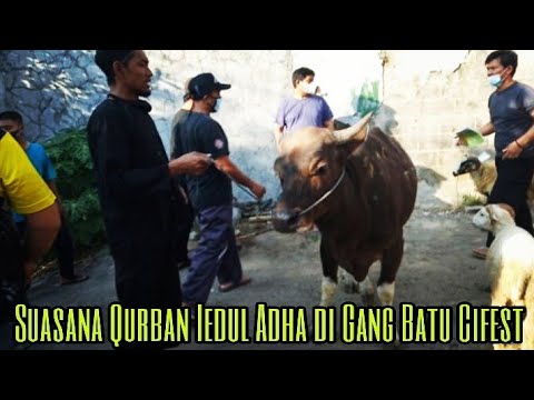 Suasana Iedul Adha di Gang Batu Cifest