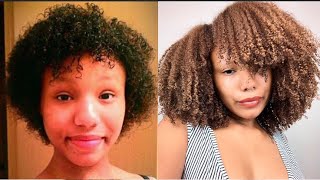 MY NATURAL HAIR JOURNEY FROM THE BEGINNING | Color Damage, Heat Damage, & Transitioning