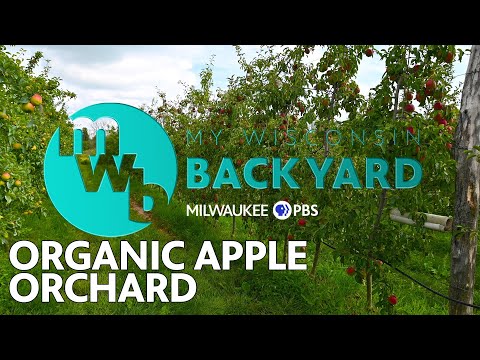 My Wisconsin Backyard | Web Series | Organic Apple Orchard