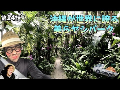 【沖縄おすすめ】第14話  東南植物楽園 美らヤシパーク/okinawa japan Southeast Botanical Garden  Churayashi Park よなじいとあき【沖縄旅行】