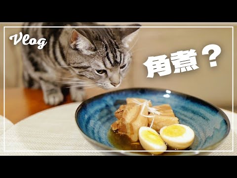 When I requested my wife to make kakuni pork, my cat became like this w / [living vlog]