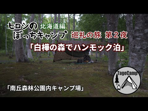 【北海道キャンプ】ヒロシのぼっちキャンプ「北海道編」巡礼の旅 第２夜 白樺の森でハンモック泊【ソロキャンプ】