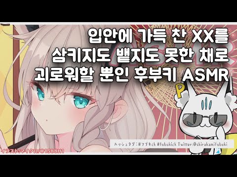 옳게 된 ASMR [시라카미 후부키]