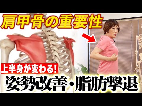 上半身がまるごと変わる！？40代50代の二の腕・脇・背中のお肉を撃退させる方法！【猫背・姿勢も改善】