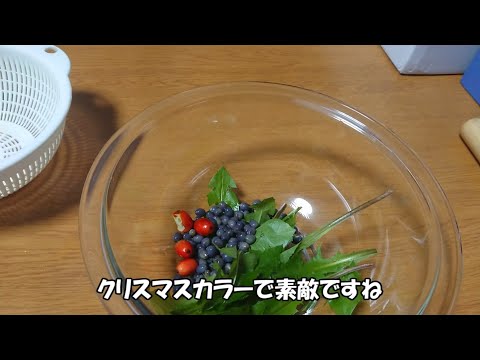 庭に生えてた実で漢方薬作ってみた