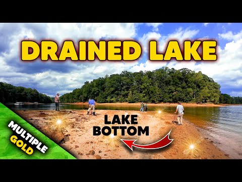 DRAINED Lake Reveals Multiple Pieces of GOLD Laying on The Bottom! #metaldetecting #gold