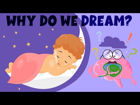 Why Do We Dream? - Sleep and Dreams: How do they work? - Learning Junction