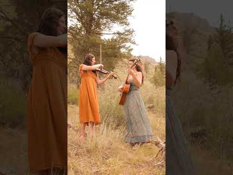 synchronicity by rising appalchia full version on my channel! #fiddle #duo #folkduo #acoustic