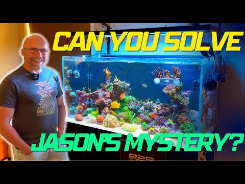 Jason's Mystery Reef Problem