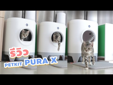 รีวิวห้องน้ำแมวสุดล้ำ PETKIT PURA X