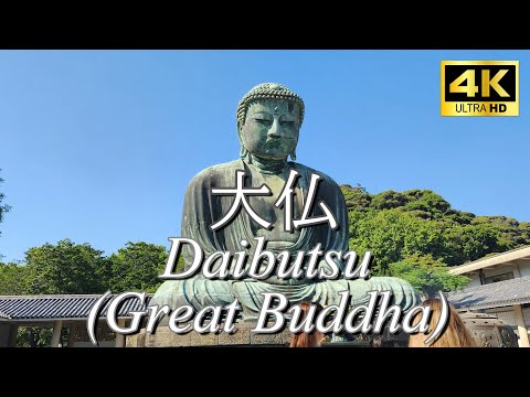 【Walk/散歩】Daibutsu(Great Buddah), Kamakura/大仏、鎌倉