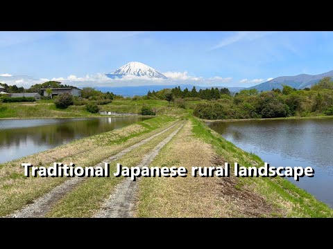 Japanese spring scenery, history and nature.