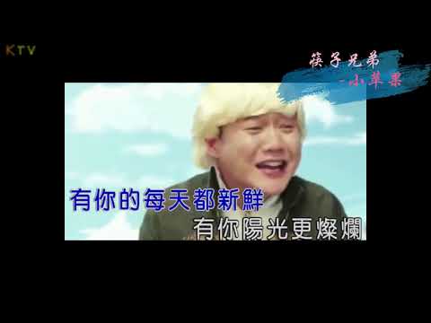 【MV】筷子兄弟《小苹果》歌词版