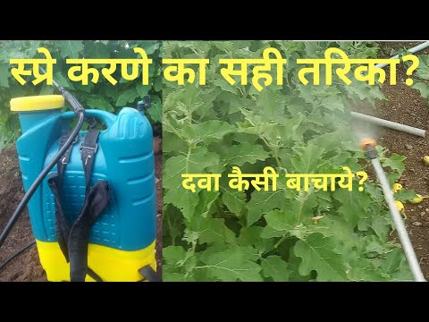 स्प्रे करने का सही तरीका क्या है? || khet main sprey marne ka sahi tarika || खेत मैं दवा ऐसे मारे