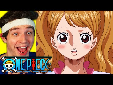 PUDDING IS THE BEST!! (one piece reaction)