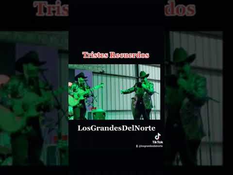 #tristesrecuerdos #losgrandesdelnorte #ramonayala #eliseorobles #tonycoronado #norteño #bailes