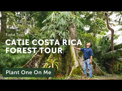 TOUR CATIE: Costa Rica's Tropical Research Gardens — Ep. 402