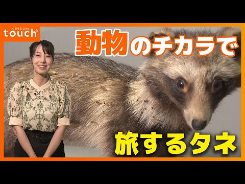 引っ付いたり食べられたり… 動物のチカラで旅するタネ