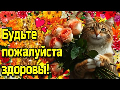 🌞☕Самого доброго осеннего  утра!🍁Благословенного дня!🌞Красивая музыкальная открытка🍁