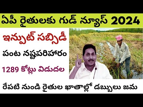 ap input subsidy 2024 release date ||ap input subsidy 2024 latest news||#connectingchandra.