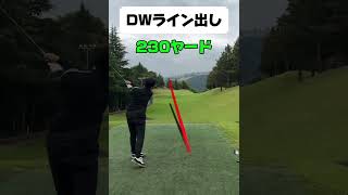 ドライバーライン出し【230y】#ゴルフスイング #ゴルフ #おじさんゴルフ #80切り #90ぎり #golf #ラウンド