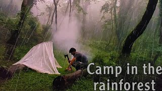 Camp in the rainforest🌧️#camp #bushcraft #jungle #green #adventure #rain#solocamp #outdoor #camping