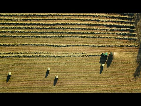 Round Baling First Crop