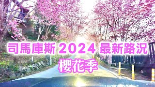 【新竹景點】上帝的部落「司馬庫斯」2024 最新路況，櫻花盛開🌸  Smangus  Hsinchu Taiwan