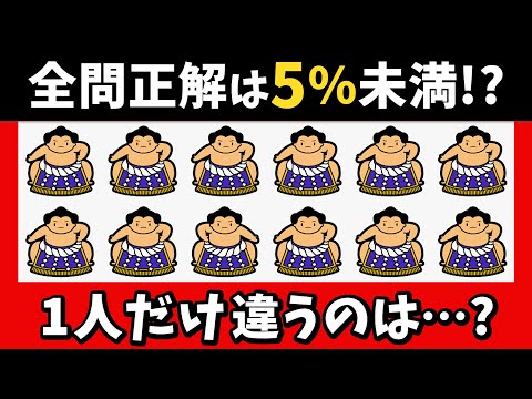 🇯🇵シニアの脳トレ★難しくなる違い探し！1つだけ違うのは？【相撲編】