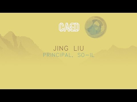 Jing Liu - "Order, Edge and Aura"